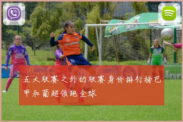 五大联赛之外的联赛身价排行榜巴甲和葡超领跑全球