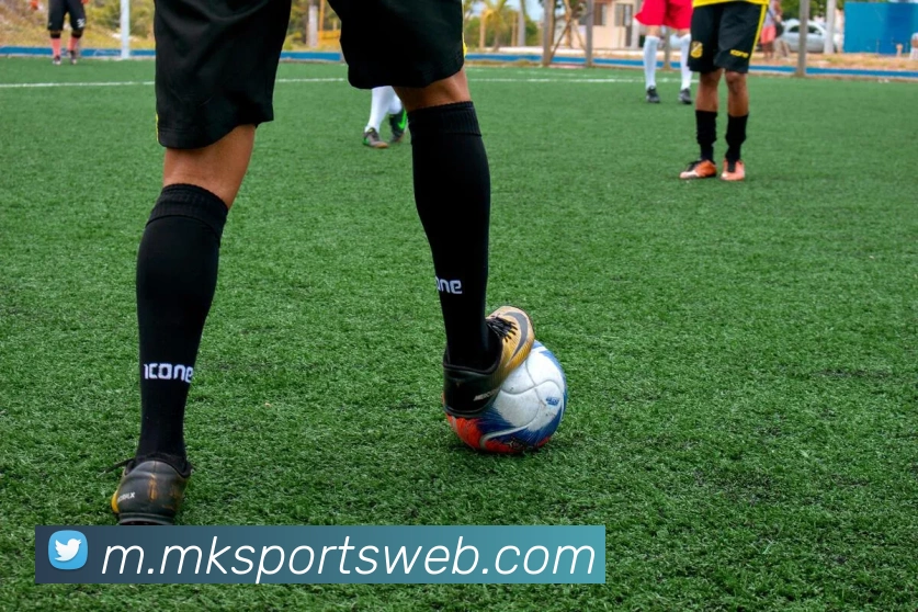 MK体育服务体系