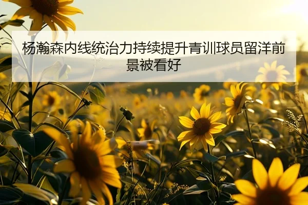 杨瀚森内线统治力持续提升青训球员留洋前景被看好 - MKsports